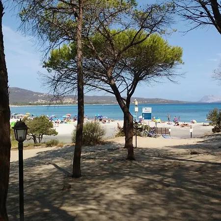 Apartman I Mandorli Budoni